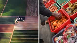 World sugar prices hit 13-year high in Sep due to El Nino; food price index 'mostly stable': FAO