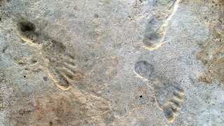 Are these New Mexico footprints the oldest proof of humans in Americas?