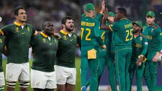 South Africa files appeal to avoid rugby and cricket World Cup flag ban