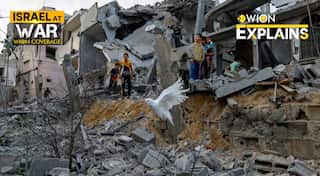 Explained: The tragedy of Palestinians and their search for a homeland