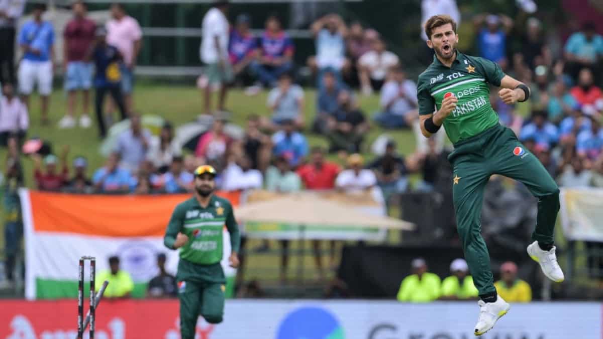 CWC: Pakistan veterans advise seamers to target Rohit’s toes for early blow, back Shaheen to strike gold CWC: Pakistan veterans advise seamers to target Rohit’s toes for early blow, back Shaheen to strike gold