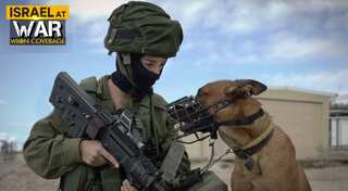 Israeli canine unit 'Oketz' helped rescue 200 lives, neutralise 10 Hamas terrorists