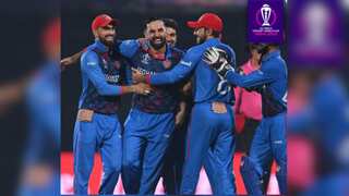 World Cup 2023: 'A fairytale win', fans rejoice Afghanistan's stunning victory against England