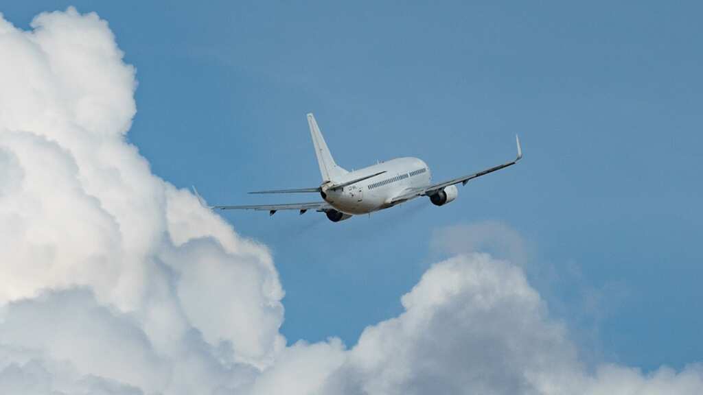 Sustainable skies: Aviation firm produces jet fuel entirely from human excreta