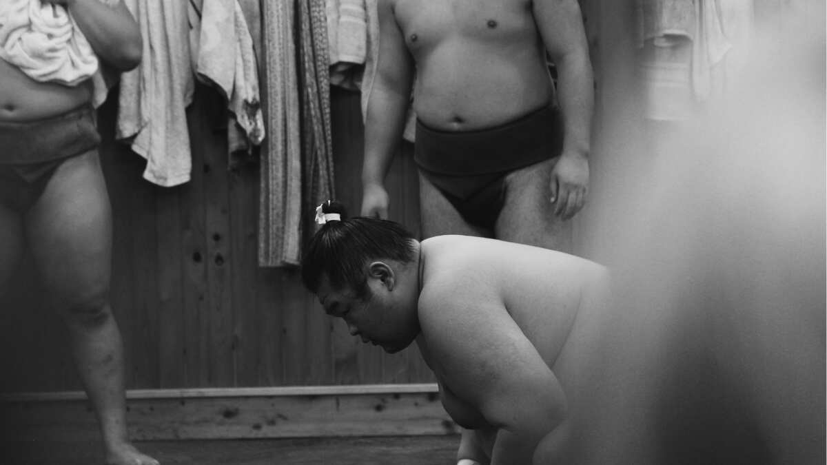 Japan Airlines forced to lay extra plane to transfer sumo wrestlers due to weight concerns Japan Airlines forced to lay extra plane to transfer sumo wrestlers due to weight concerns