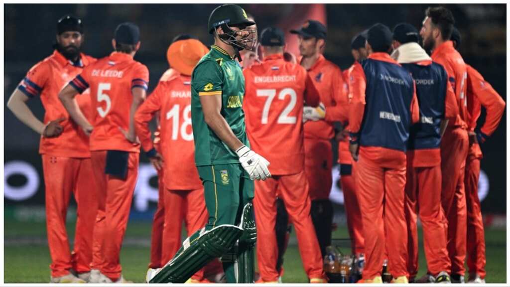 'We weren't...': SA coach Rob Walter after shock defeat to Netherlands in ODI World Cup 2023