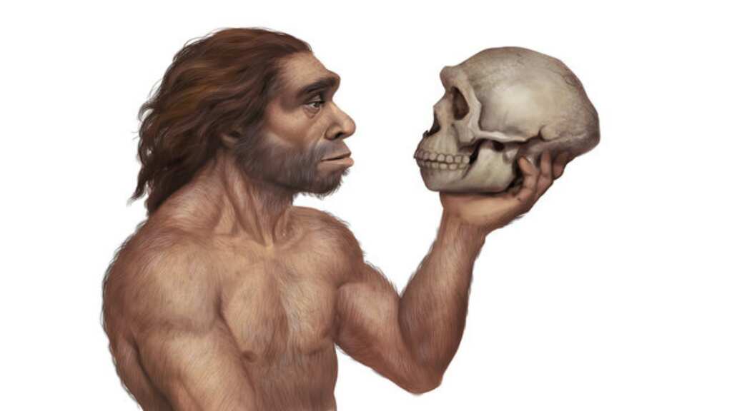 Why do some people have more Neanderthal DNA than others? Scientists now have an explanation