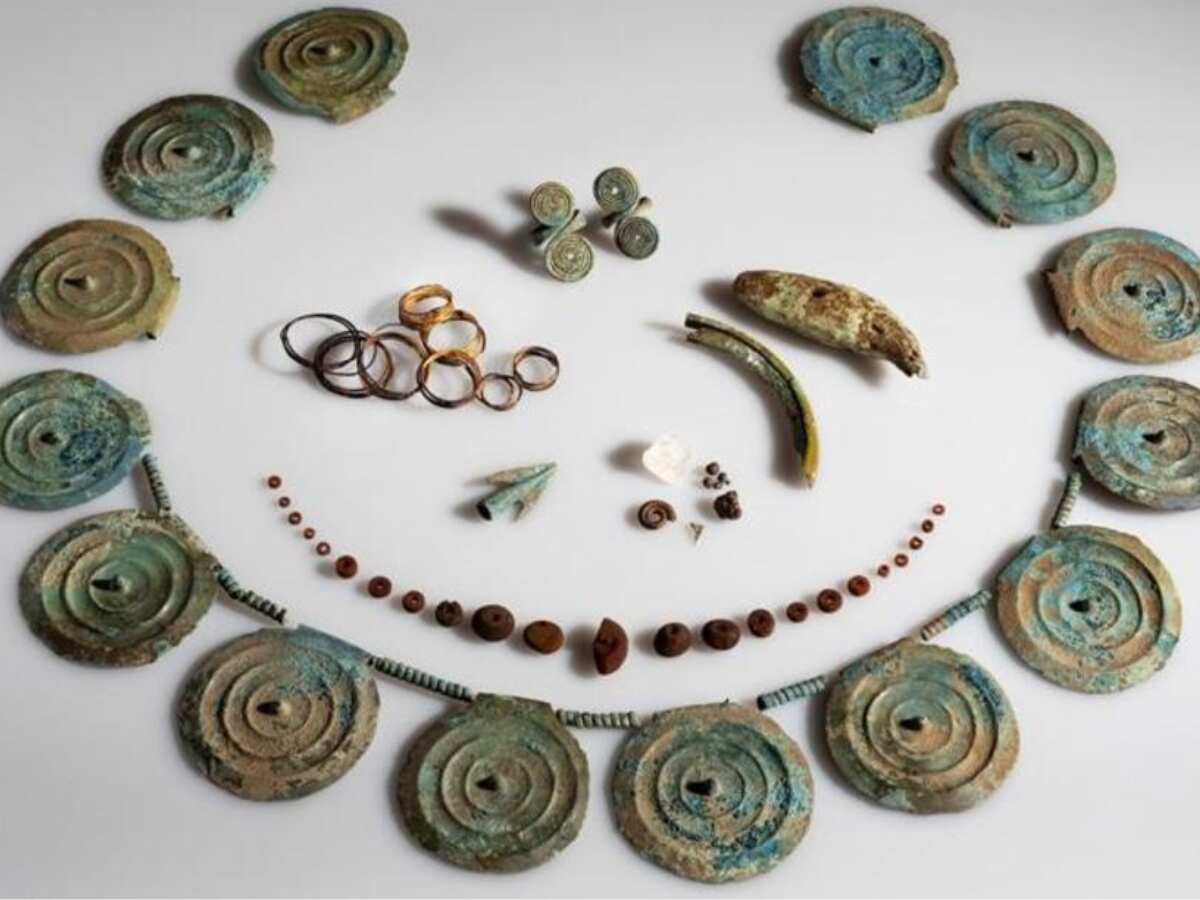 Man finds 3,500-year-old jewellery along with a bunch of teeth in his carrot field Man finds 3,500-year-old jewellery along with a bunch of teeth in his carrot field
