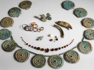 Man finds 3,500-year-old jewellery along with a bunch of teeth in his carrot field