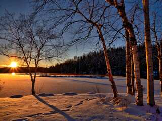 Winter Solstice 2023: Longest night, shortest day - Why does it happen?