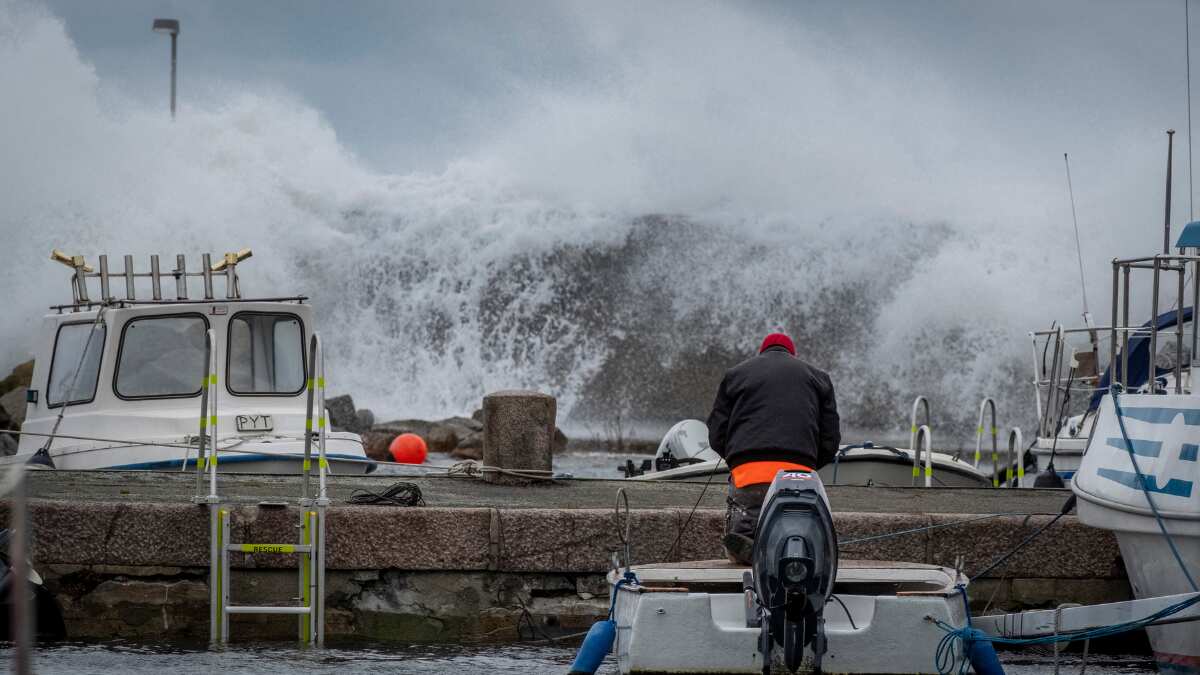 Flights and ferries cancelled