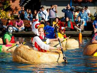 Row, row, row your boat...sorry, pumpkin! See this Belgian town's annual pumpkin race