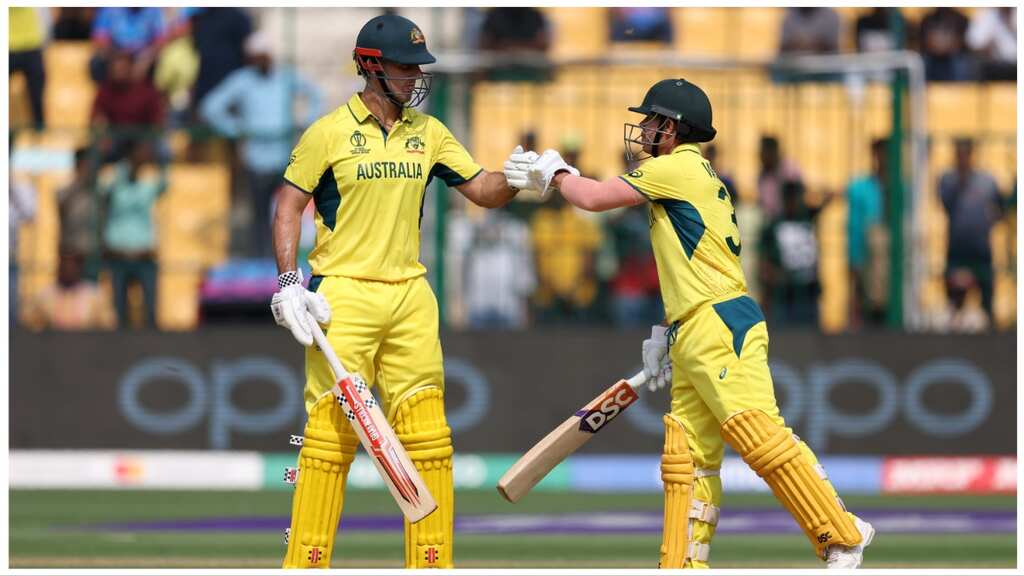 World Cup 2023, Australia vs Netherlands: Match preview and result prediction