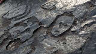 Drought reveals ancient rock carvings of human faces along Amazon River