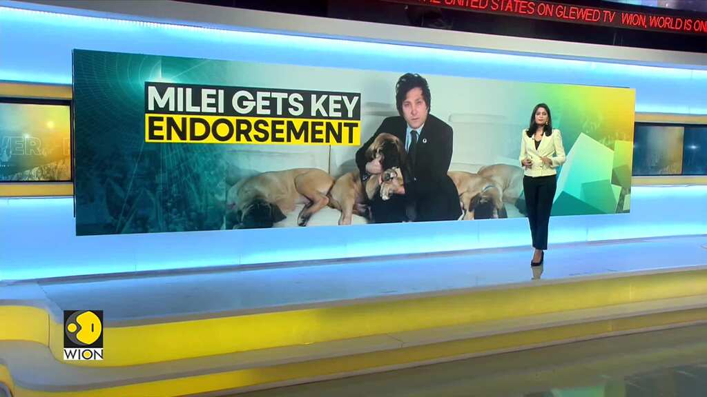 Argentina elections 2023: Unlikely allies add new twist to Presidential run-off | Race to Power