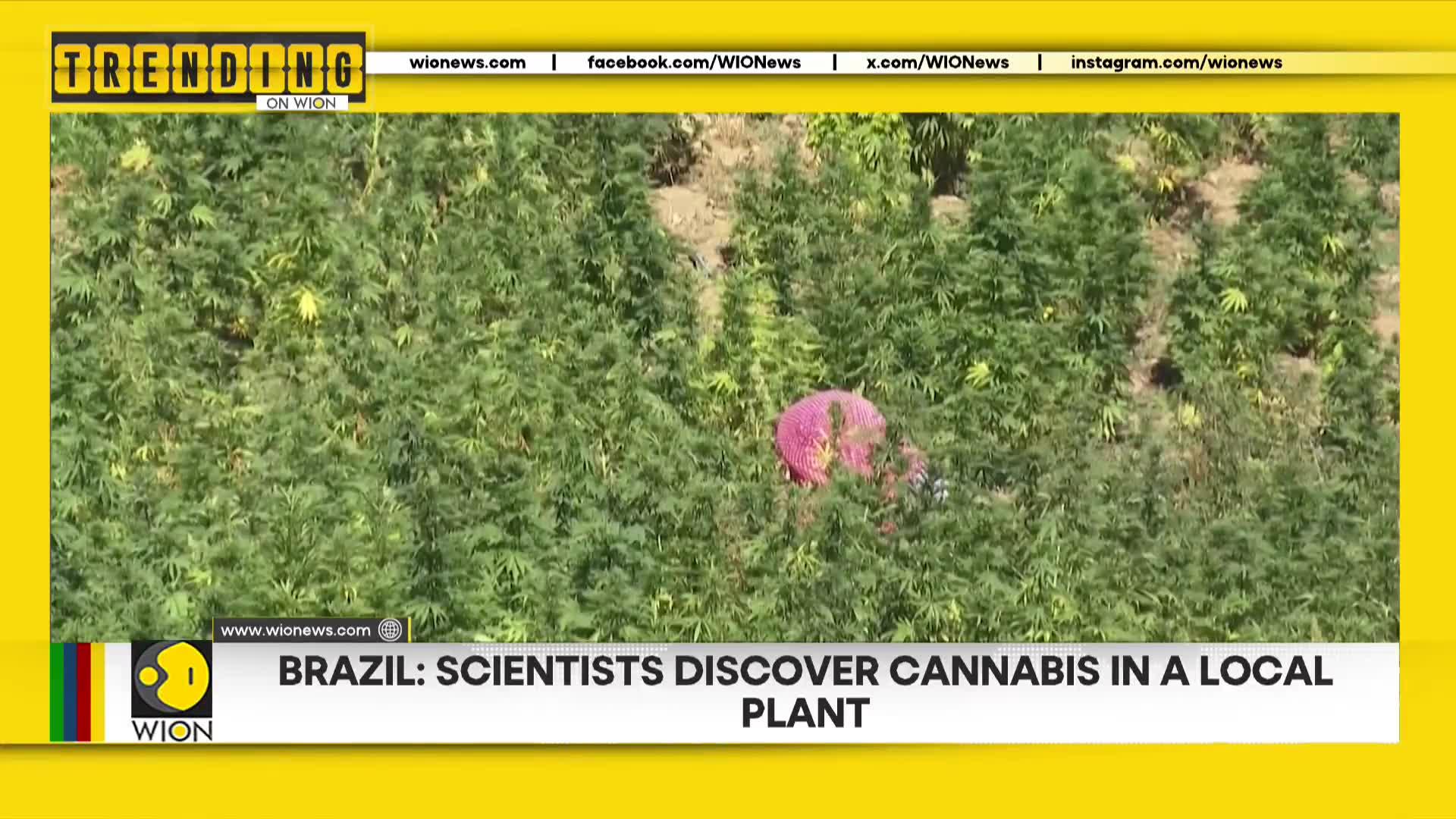 WionNews Video