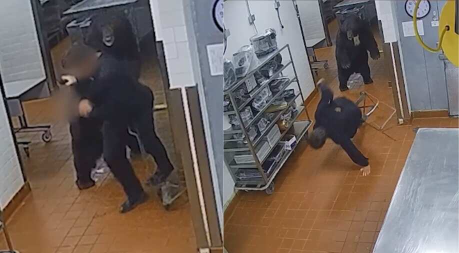 VIDEO: Guard savaged by massive bear in hotel’s kitchen, escapes with minor injuries