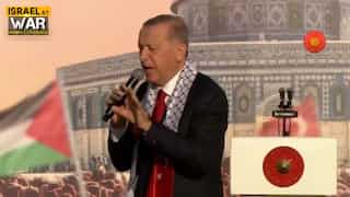 Israel-Hamas war: Erdogan addresses huge pro-Palestine rally, blames West for massacre in Gaza