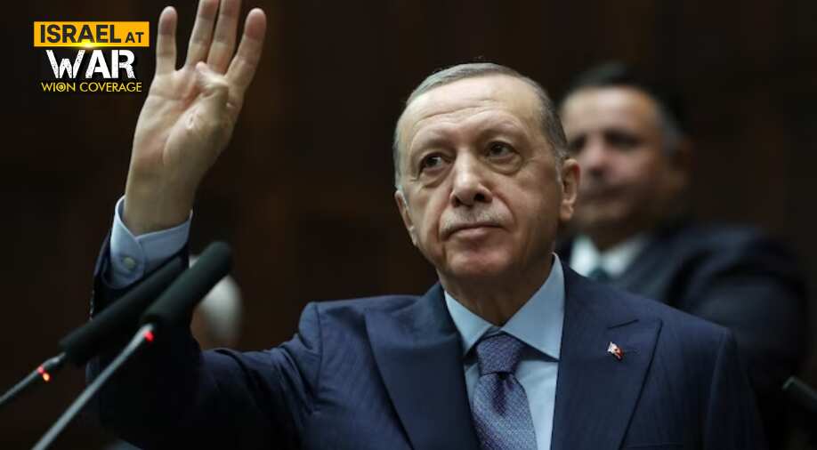 'A snake will remain a snake': Israeli envoy to UN slams Erdogan as relations with Turkey plummet