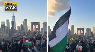 'Flood Brooklyn for Gaza' rally held by thousands in support of Palestinians