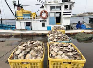 US military bulk-buys Japanese seafood to counter China ban over Fukushima n-reactor water release