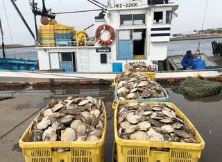 US military bulk-buys Japanese seafood to counter China ban over Fukushima n-reactor water release