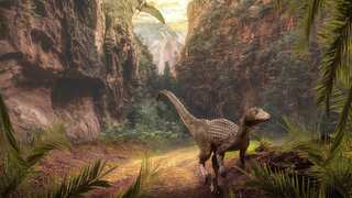 An asteroid yes, but that's not what exactly killed the dinosaurs