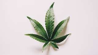9 health problems cannabis medicine can help alleviate