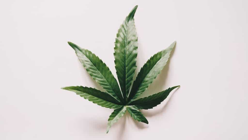 9 health problems cannabis medicine can help alleviate