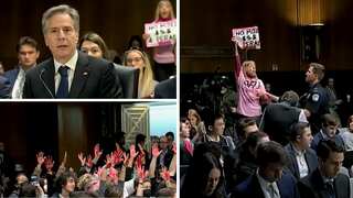 Watch | Pro-Palestinian demonstrators interrupt US Senate hearing demanding ceasefire in Gaza