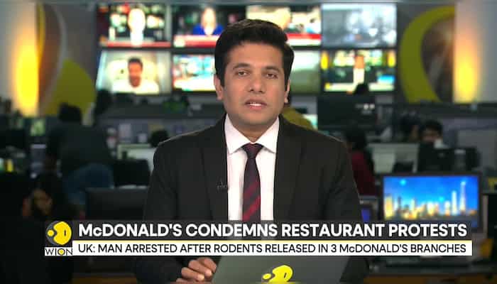 UK: Man arrested after rodents released in 3 McDonald's branches in pro-Palestinian protest