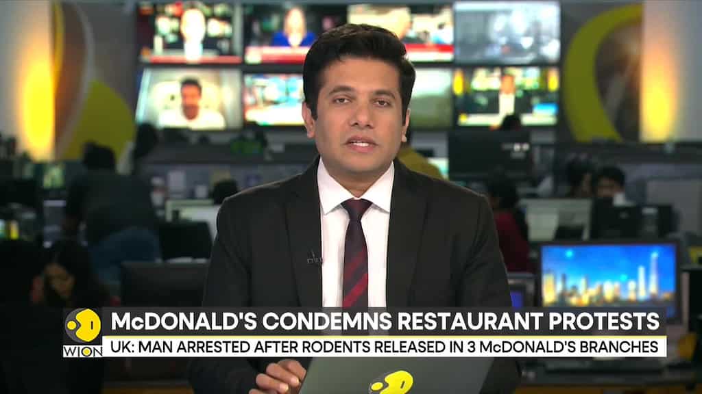UK: Man arrested after rodents released in 3 McDonald's branches in pro-Palestinian protest