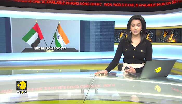 UAE considering investments of about $50 BN in India: Report
