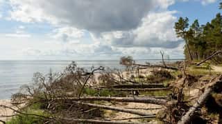 Baltic Sea in 'dire' state due to human activities and global warming: Report