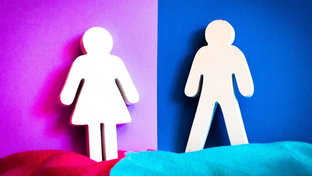 Scientists study how differences between sexes develop in animals Scientists study how differences between sexes develop in animals