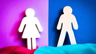 Scientists study how differences between sexes develop in animals