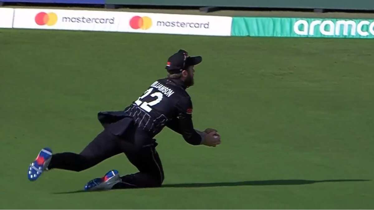 ODI World Cup 2023: WATCH | New Zealand's Kane Williamson takes STUNNING diving catch vs Pakistan ODI World Cup 2023: WATCH | New Zealand's Kane Williamson takes STUNNING diving catch vs Pakistan