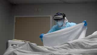 Human deaths from animal-to-human diseases to multiply 12 times by 2050: Study