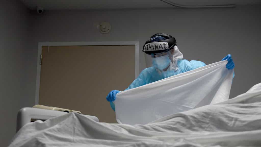 Human deaths from animal-to-human diseases to multiply 12 times by 2050: Study