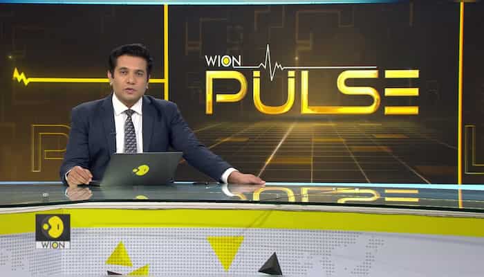 Indian influencer Elvish Yadav accused of consuming snake venom