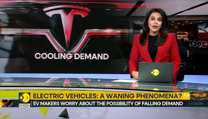 EV makers worry about the possibility of falling demand