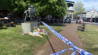 Five killed in Australia after car ploughs into pub patrons