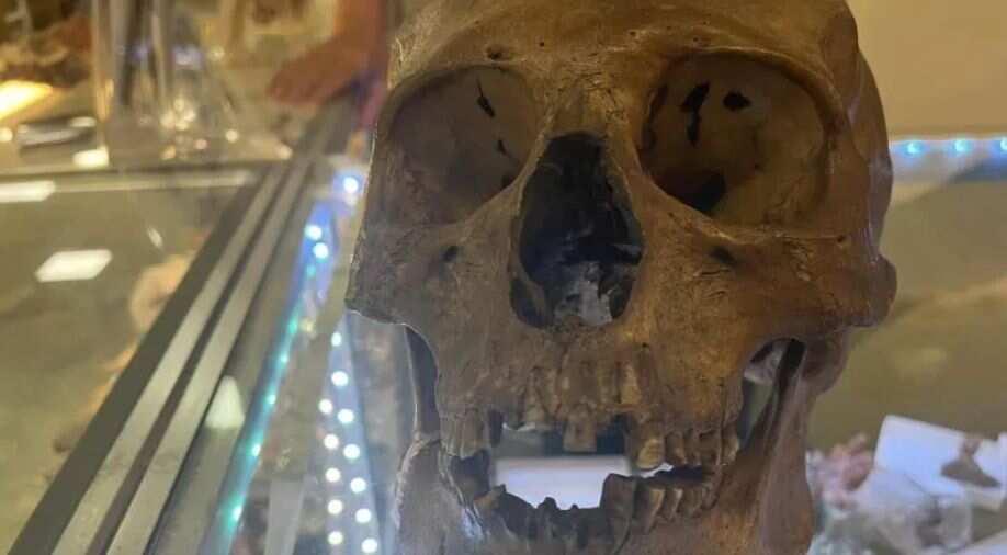Florida shopper shocked after ‘Halloween skull’ turns out to be real Florida shopper shocked after ‘Halloween skull’ turns out to be real