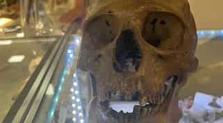 Florida shopper shocked after ‘Halloween skull’ turns out to be real