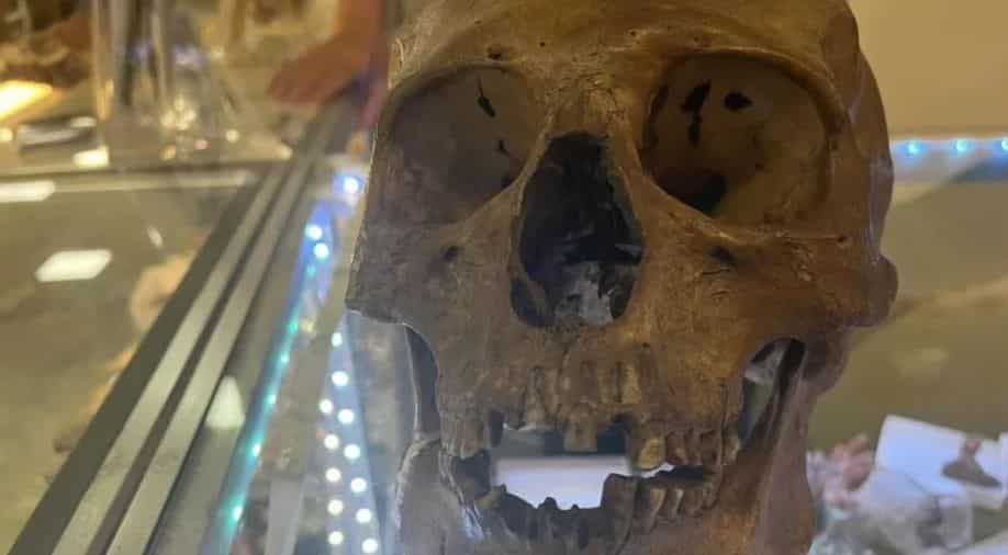 Florida shopper shocked after ‘Halloween skull’ turns out to be real