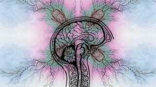 November is Epilepsy Awareness Month! Here's how you can get involved