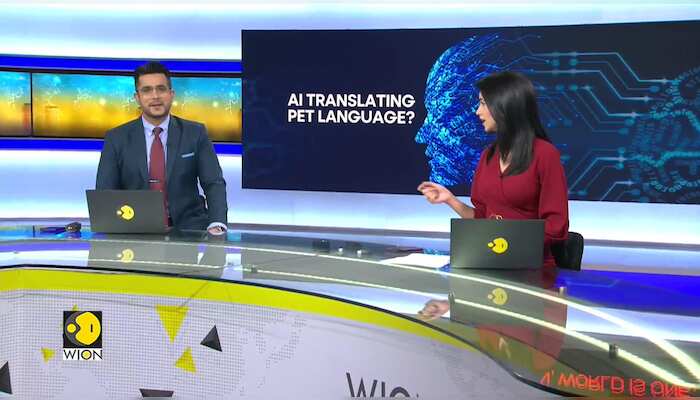 Study: AI detects pet emotions through physical and vocal cues