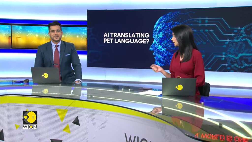 Study: AI detects pet emotions through physical and vocal cues