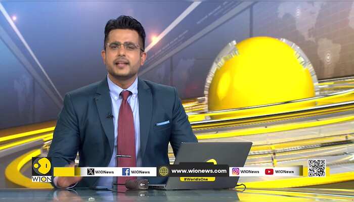 India's premium sweets segment | World News | WION