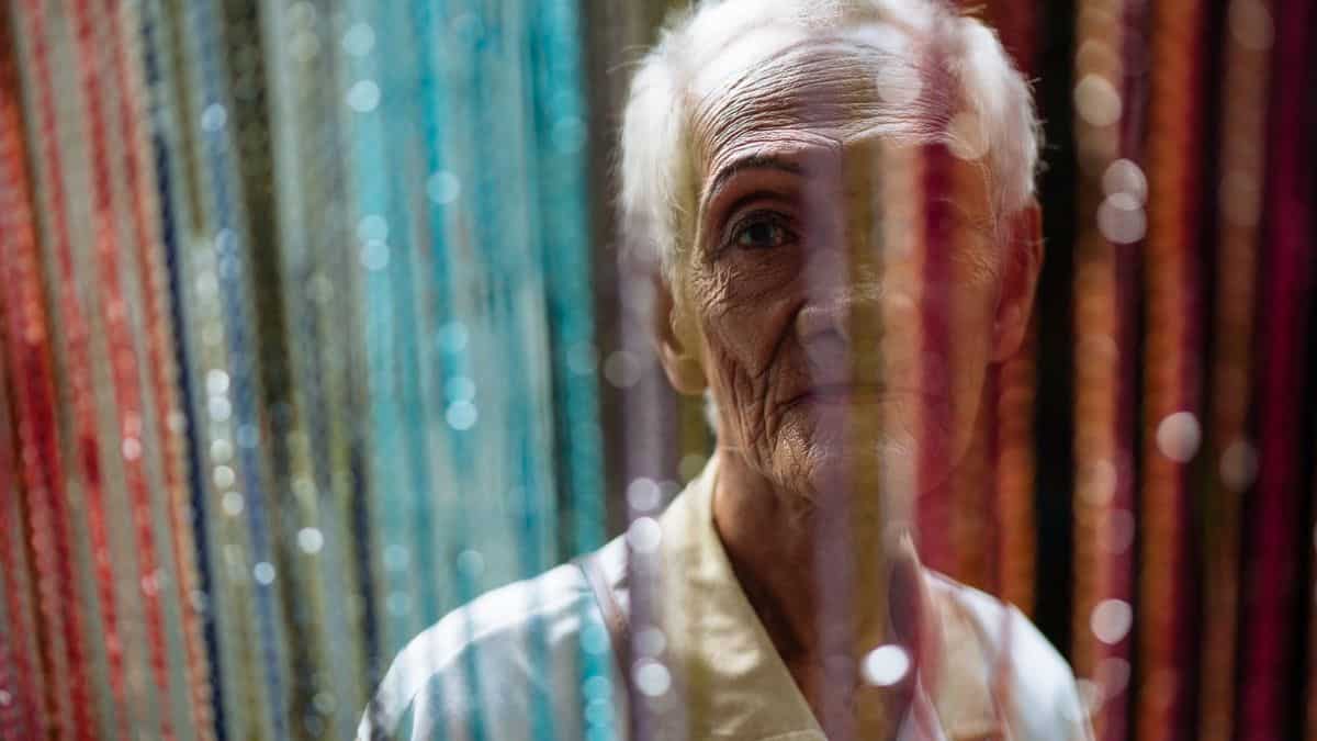 Hungary dismisses museum director for exposing children to LGBT content